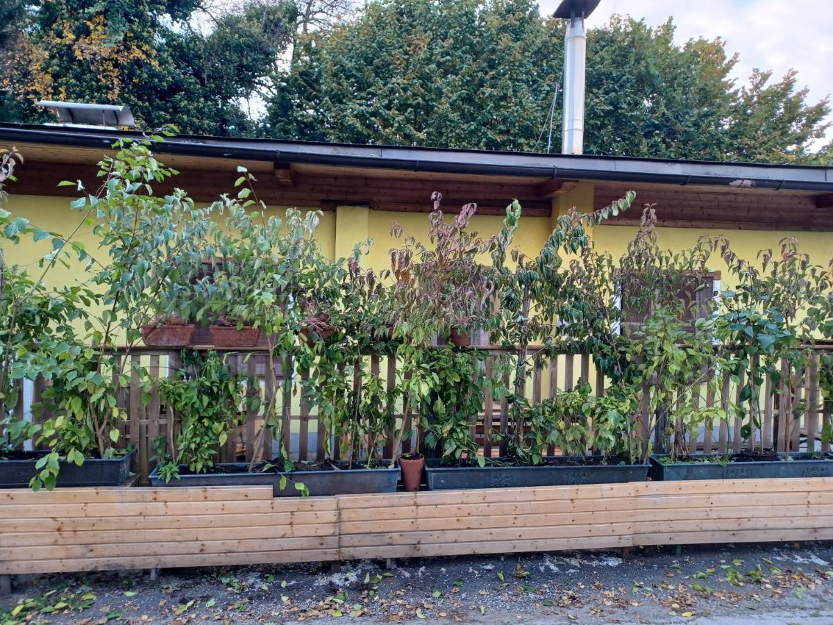 Binderhaeusl Hébergement de vacances Salzbourg